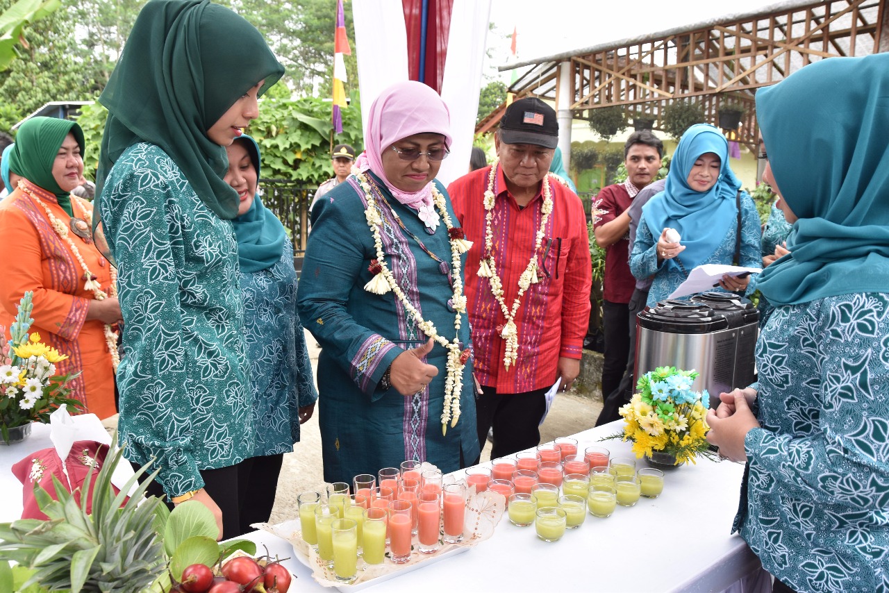 Desa Wulungsari, Contoh Desa Berprestasi dan Unggul dalam 